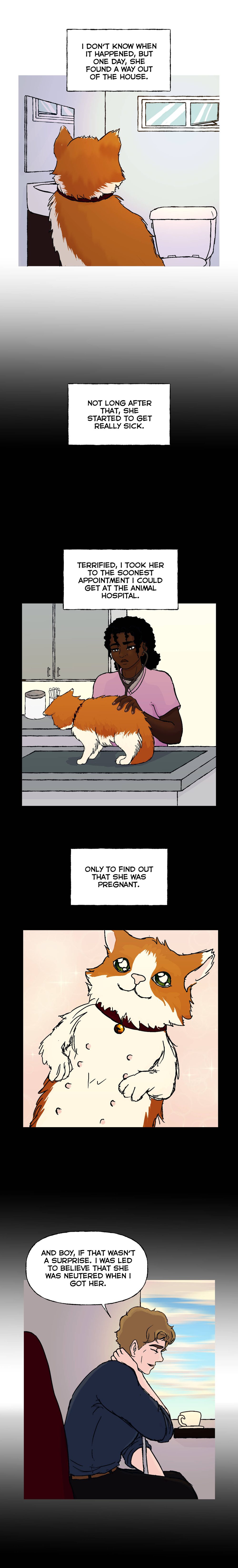 Chapter 4, page 4