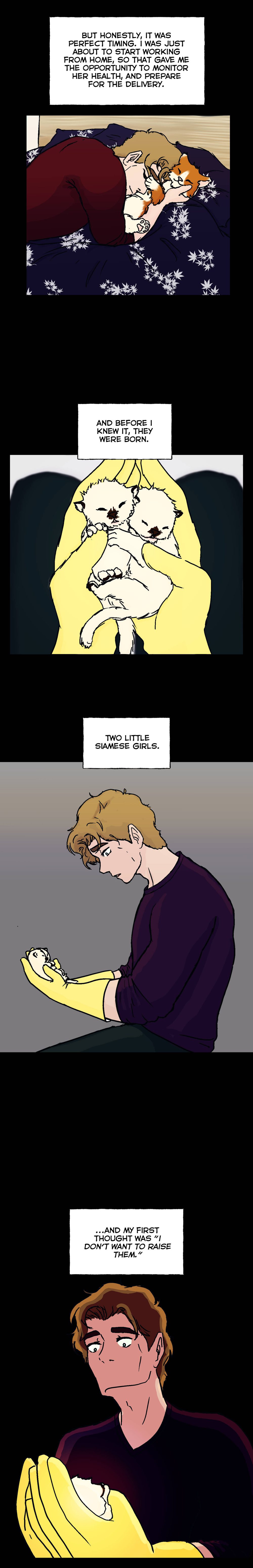 Chapter 4, page 5
